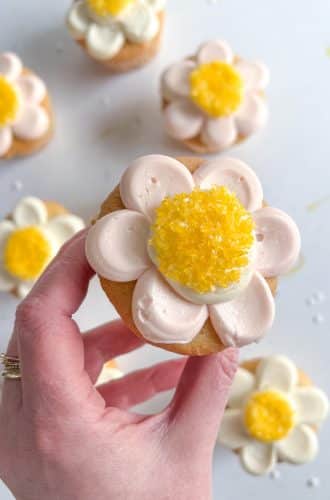 Daisy cupcakes by Whipped Bakeshop in Philly