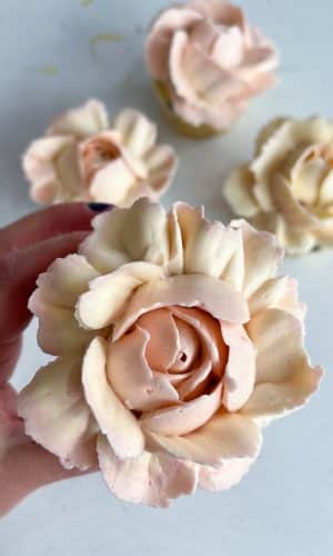 Valentine Rose 4-pack